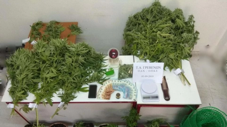 Έκρυβε την χασισοφυτεία με στρατιωτικό καμουφλάζ!